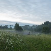 Туман в деревне :: Дмитрий Балагуров