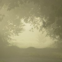 Рассвет в тумане :: Mariya laimite