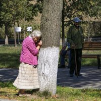 Прятки или возраст это не цифры в паспорте. :: Анатолий. Chesnavik.