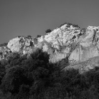 Crimea. Ai Petri. :: Марианна Привроцкая www.zadnipryanaya.ru