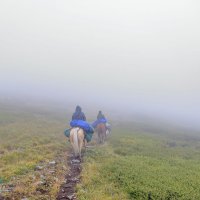 Туман :: Андрей Байков