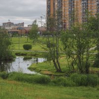 Зелёные лёгкие Нового Оккервиля :: Юрий Велицкий