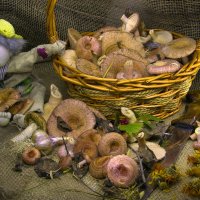 Домовёнок с грибами. :: Владимир Терехов