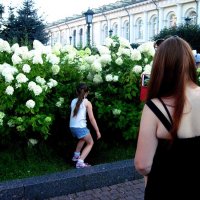 В Александровском саду :: alek48s 