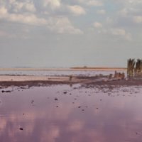 "Мертвое море" Крыма. Розовое озеро Сассык Сиваш :: BD Колесников