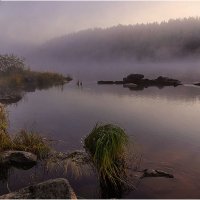 Утро на р. Умба :: Владимир Чикота 