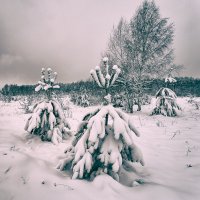 Winter&#39;s coming. :: Андрий Майковский