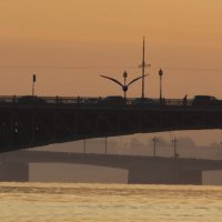 Летали утром над мостами :: Владимир Гилясев