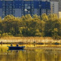 Городская рыбалка :: Владимир Колесников