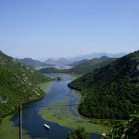 Река Цырнаевича впадает в Скадарское озеро-Черногория :: Людмила 