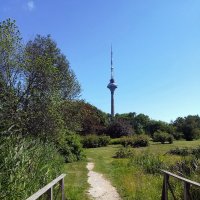 Таллинский Ботанический сад, с видом на телевизионную башню :: veera v