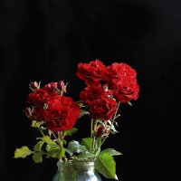Красные розы :: Татьяна Панчешная