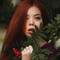 Осень пришла!! :: Елена Пахомычева