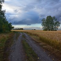 Начало  листопада :: Геннадий Супрун