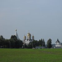 Лужецкий монастырь :: Надежда 
