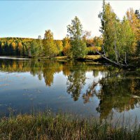 Осеннее :: Leonid Rutov