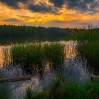 Озеро Малое Борково ,Ленинградская область :: Дмитрий Рутковский