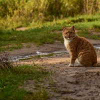 Улыбочку! Снято! :: Татьяна Глинская