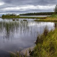 *** :: Анжела Пасечник