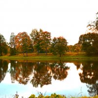 осенний пейзаж в парке у пруда :: Танзиля Завьялова