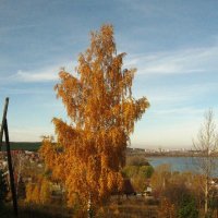 Вот и осень. :: sav-al-v Савченко