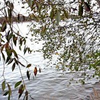 Осень на реке! :: ирина 