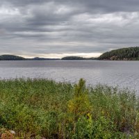 Карелия. Ладожское озеро. :: Николай 