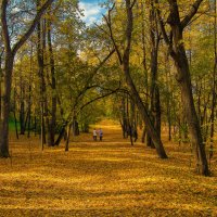 Осень золотая листья рассыпает :: vladimir Bormotov