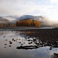 Осень на реке Катунь :: Галина Козлова 