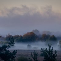 Туман на Оке :: Валерий Гудков