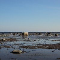 Отлив на Белом море :: Ксения 