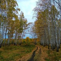 Осенний денёк :: Татьяна Котельникова