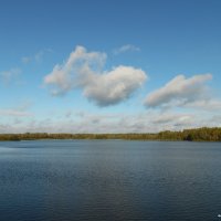 Утро :: Андрей Буховецкий