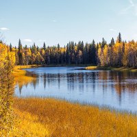Золотая осень на севере Карелии :: Роман Дудкин