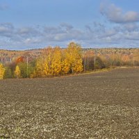 Последняя краса :: Александр Гурьянов