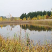 Rudens veidrodis prie Žaliosios girios / Autumn mirror in Žalioji forest :: silvestras gaiziunas gaiziunas
