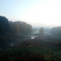 Октябрь. Утренний туман :: Елена Павлова (Смолова)