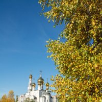 Осень в парке :: юрий Амосов