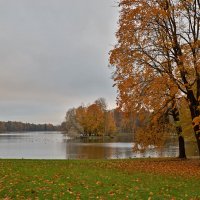 ... :: Валентина Харламова