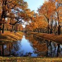 Александровский парк в октябре.. :: Tatiana Markova