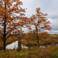 Осенний пейзаж с речкой :: Александр Синдерёв