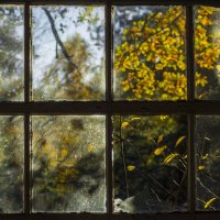 осень в окнах 18 :: Геннадий Свистов