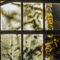 осень в окнах 18 :: Геннадий Свистов