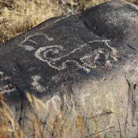 Петроглифы юга Казахстана :: Сергей Ермишкин