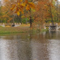 Осень в Александровском парке :: Наталья Герасимова