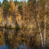 В октябре :: Вера Сафонова