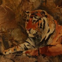 портрет тигра :: Илья 