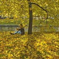 На ковре из желтых листьев... :: Senior Веселков Петр