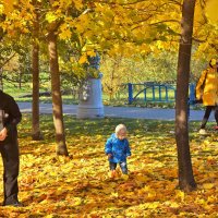 Малыш в недоумении, что ищут люди в жёлтых листьях? :: Татьяна Помогалова