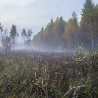 Унылая пора :: Александр Крупский